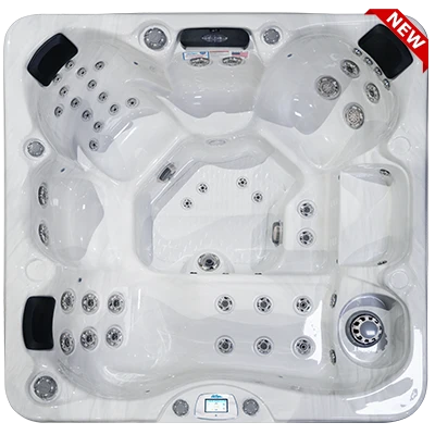 Avalon-X EC-849LX hot tubs for sale in Fall River